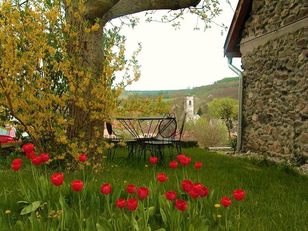 Kapolcs Cottage Dış mekan fotoğraf